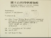 登錄號:F0032153藏品圖，第2張