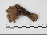 登錄號:F0032154藏品圖，第1張