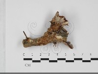 登錄號:F0032156藏品圖，第1張
