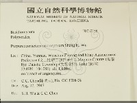 登錄號:F0032158藏品圖，第2張