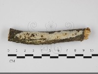 登錄號:F0032160藏品圖，第1張