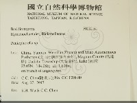擬筍殼菌屬藏品圖，第2張