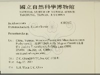 擬筍殼菌屬藏品圖，第2張
