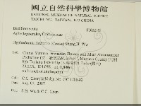 登錄號:F0032163藏品圖，第2張