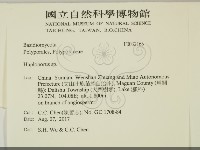 登錄號:F0032165藏品圖，第2張