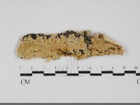 登錄號:F0032165藏品圖，第1張