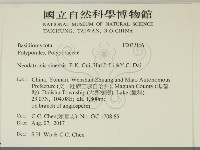 登錄號:F0032166藏品圖，第2張