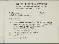 絲皮菌屬藏品圖，第2張