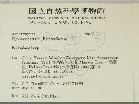 擬筍殼菌屬藏品圖，第2張