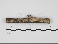 登錄號:F0032174藏品圖，第1張