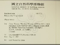 寡孔菌屬藏品圖，第2張