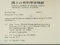 登錄號:F0032177藏品圖，第2張