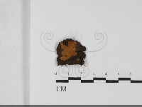登錄號:F0032178藏品圖，第1張