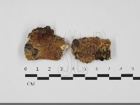 登錄號:F0032179藏品圖，第1張