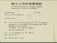 齒耳菌屬藏品圖，第2張