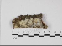 登錄號:F0032184藏品圖，第1張