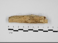 登錄號:F0032186藏品圖，第1張