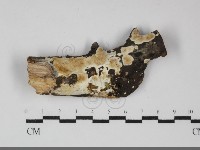 登錄號:F0032187藏品圖，第1張