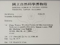 炭角菌屬藏品圖，第2張
