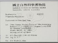 登錄號:F0032192藏品圖，第2張
