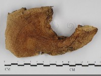 登錄號:F0032192藏品圖，第1張