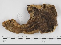 登錄號:F0032192藏品圖，第3張