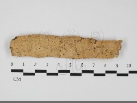 登錄號:F0032193藏品圖，第1張