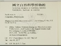 登錄號:F0032194藏品圖，第2張