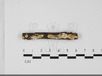 登錄號:F0032194藏品圖，第1張