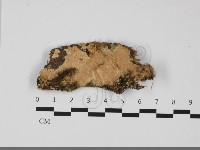 登錄號:F0032196藏品圖，第1張