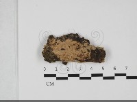 登錄號:F0032197藏品圖，第1張