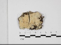 登錄號:F0032198藏品圖，第1張
