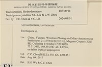 登錄號:F0032198藏品圖，第3張