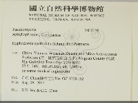 登錄號:F0032199藏品圖，第2張
