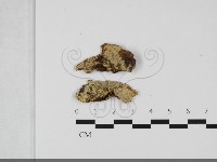 登錄號:F0032199藏品圖，第1張