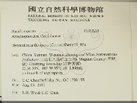 登錄號:F0032200藏品圖，第2張