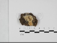登錄號:F0032201藏品圖，第1張