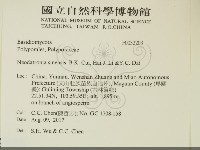 登錄號:F0032203藏品圖，第2張