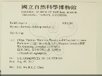 登錄號:F0032207藏品圖，第2張