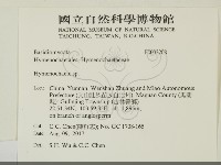 刺革菌屬藏品圖，第2張