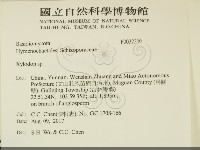 木齒菌屬藏品圖，第2張