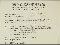 登錄號:F0032210藏品圖，第2張