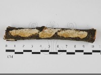 登錄號:F0032210藏品圖，第1張