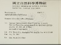 登錄號:F0032212藏品圖，第2張