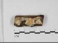 登錄號:F0032214藏品圖，第1張