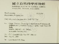 登錄號:F0032216藏品圖，第2張