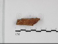 登錄號:F0032216藏品圖，第1張
