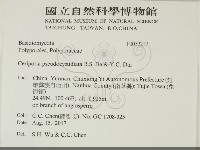 登錄號:F0032217藏品圖，第2張