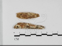 登錄號:F0032218藏品圖，第1張