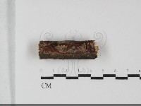 登錄號:F0032220藏品圖，第1張